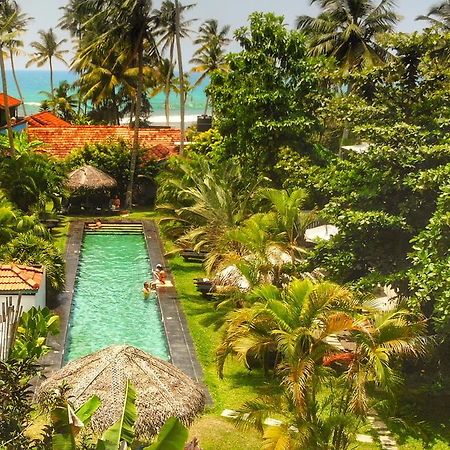 Turtle Eco Beach Matara Dış mekan fotoğraf