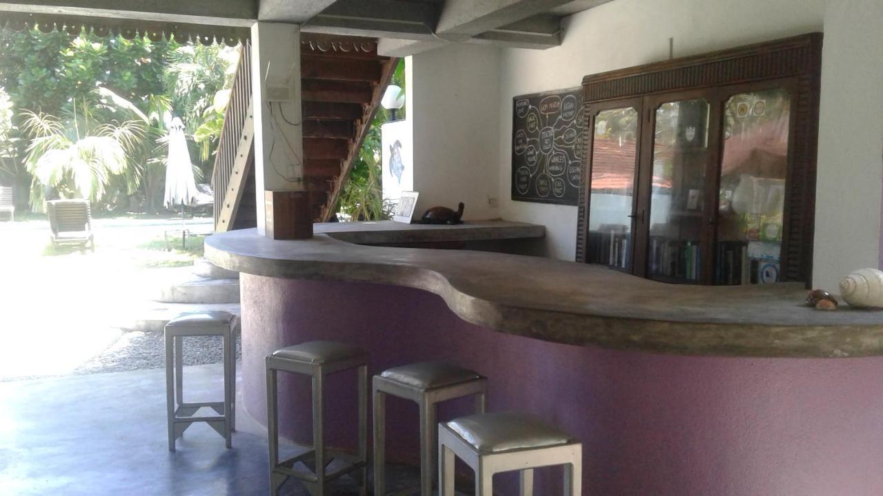 Turtle Eco Beach Matara Dış mekan fotoğraf