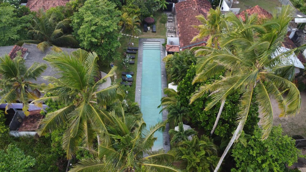 Turtle Eco Beach Matara Dış mekan fotoğraf