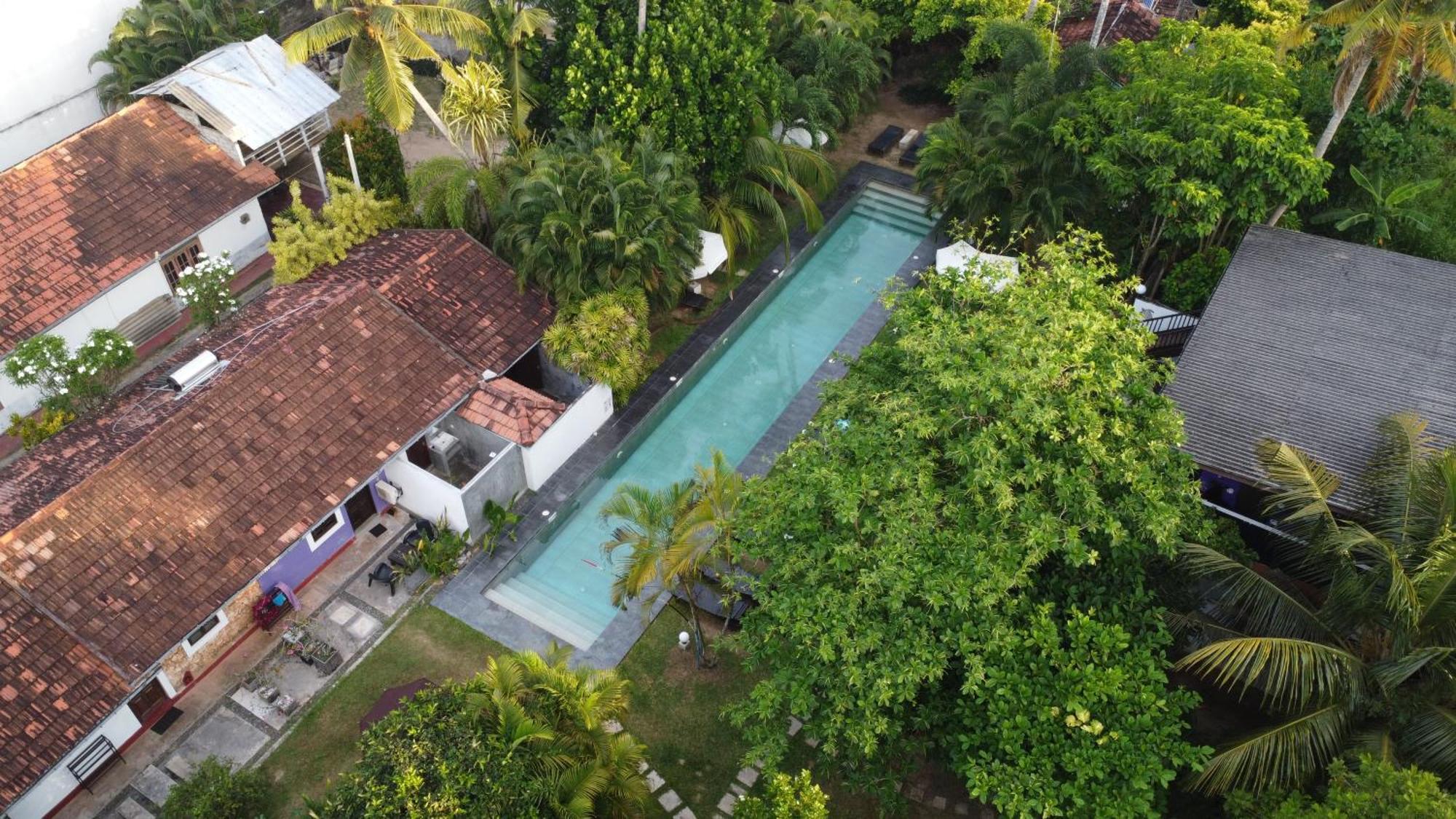 Turtle Eco Beach Matara Dış mekan fotoğraf
