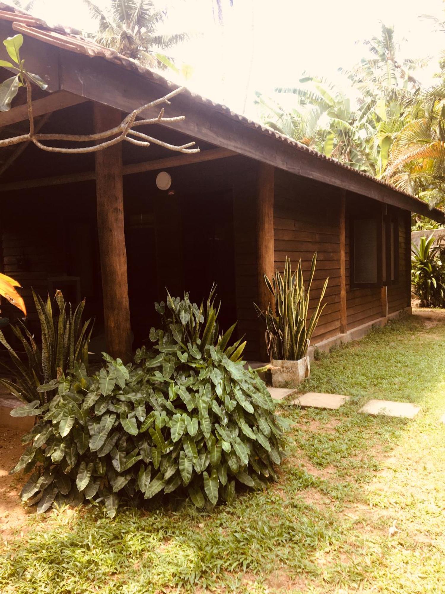 Turtle Eco Beach Matara Dış mekan fotoğraf
