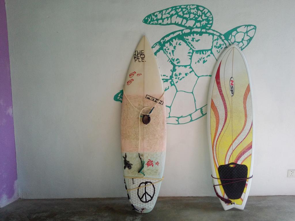 Turtle Eco Beach Matara Dış mekan fotoğraf