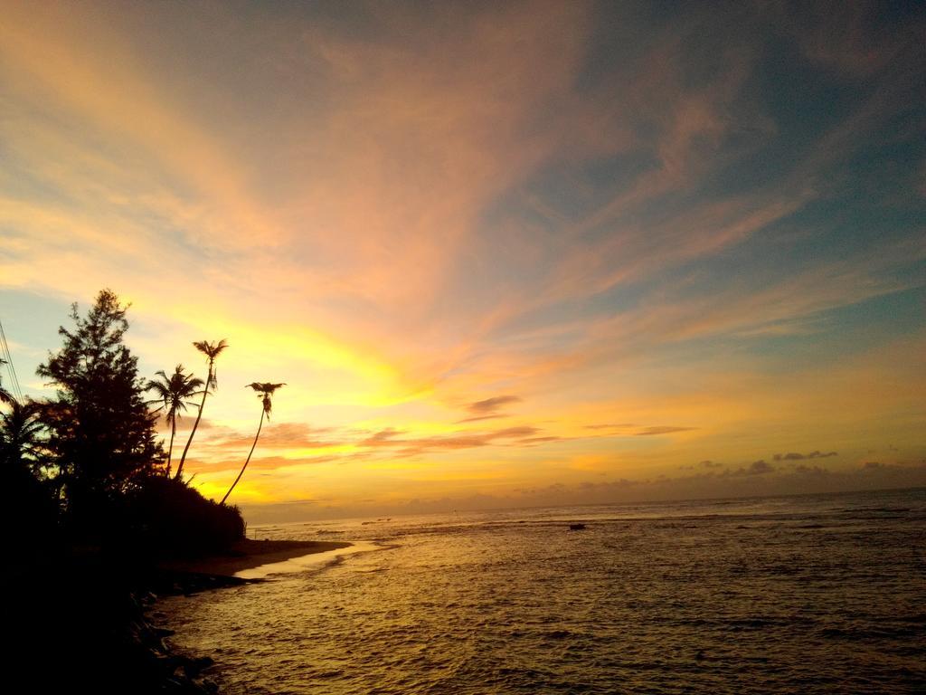 Turtle Eco Beach Matara Dış mekan fotoğraf