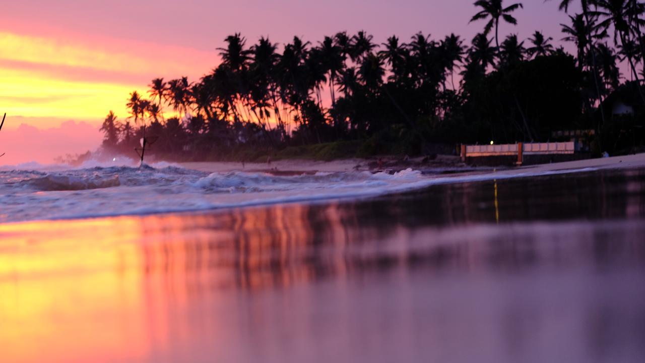 Turtle Eco Beach Matara Dış mekan fotoğraf