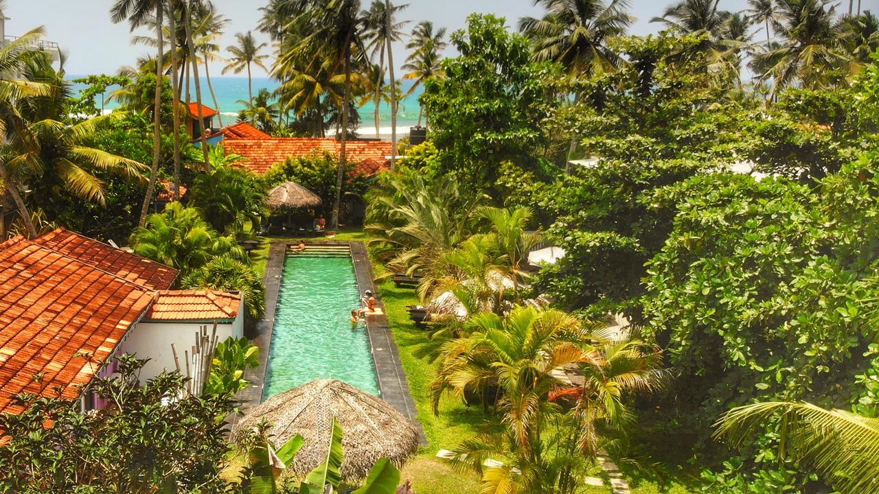 Turtle Eco Beach Matara Dış mekan fotoğraf
