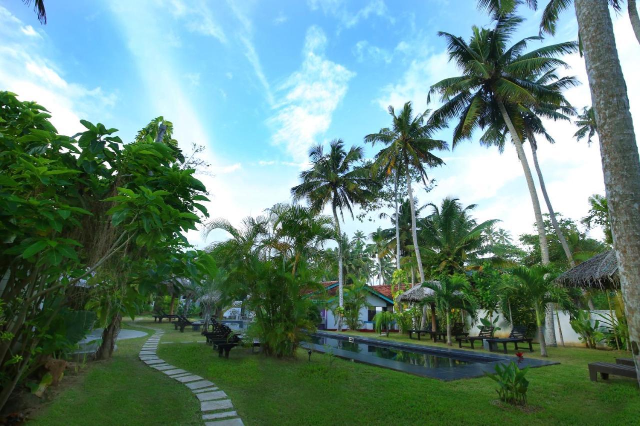 Turtle Eco Beach Matara Dış mekan fotoğraf