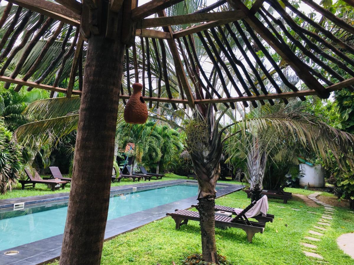 Turtle Eco Beach Matara Dış mekan fotoğraf